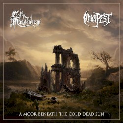 A Moor Beneath the Cold Dead Sun