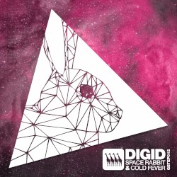 Space Rabbit / Cold Fever