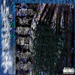 山田花子 (Yamada Hanako)