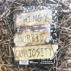 Morbid Curiosity