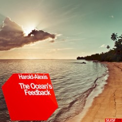 The Ocean's Feedback