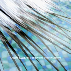 The Vast Kelp Forests