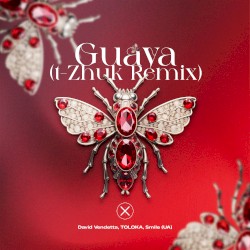 Guaya (T‐Zhuk remix)
