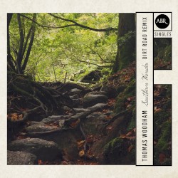 Southern Wonder (Dirt Road remix)