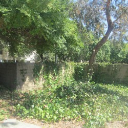 Some Recordings of San Pablo