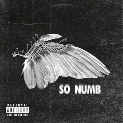 So Numb