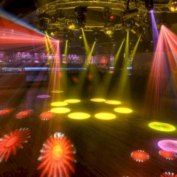 Shake It (Like You Just Made Bail)