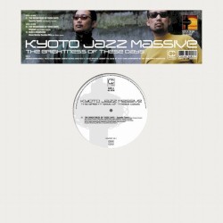 The Brightness Of These Days