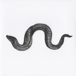 Eel