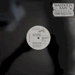 Mandolin Rain