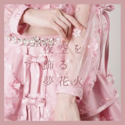 夜空を飾る夢花火