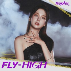 <FLY‐HIGH>