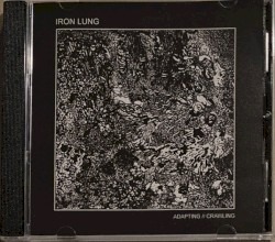 Adapting // Crawling