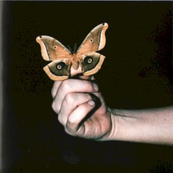 All Systems Are Lying