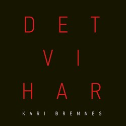 Det vi har