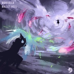 Bullet Hell