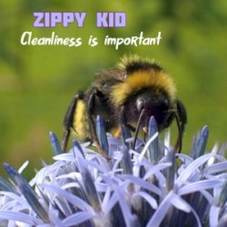 Сleanliness is imprortant