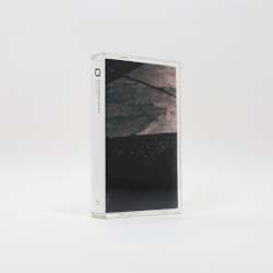 Shores