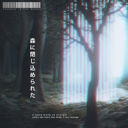 Trapped In The Woods