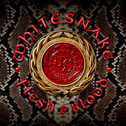 Trouble Is Your Middle Name