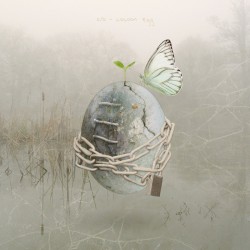 cocoon egg