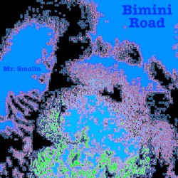 Bimini Road