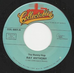 The Bunny Hop / The Hokey Pokey