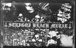 The Carpathian Plague