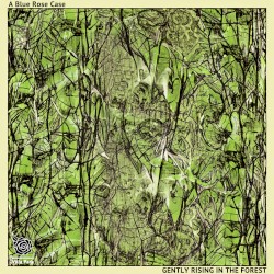 Gently Rising in the Forest