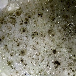 Soundtrack for This Insignificant Existence (Part Nine)