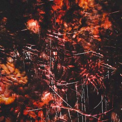 Unregimentation