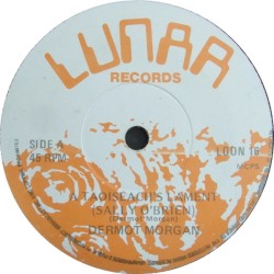 A Taoiseach's Lament (Sally O'Brien)