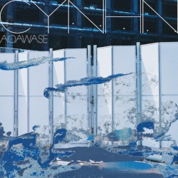 AOAWASE