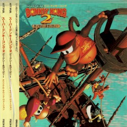 Lo-fi 🍃 Donkey Kong Country 2: Diddy's Kong Quest OST 🌿