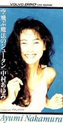 空飛ぶ魔法のジュータン