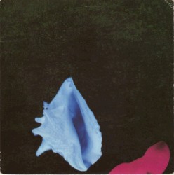 Touched by the Hand of God