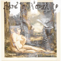 LXXXV. Of Ordered Woods and Gardens