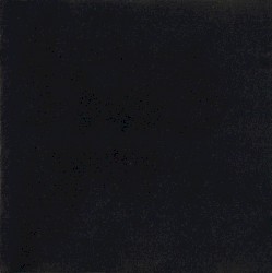 Black Album