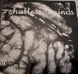 Shattered Minds