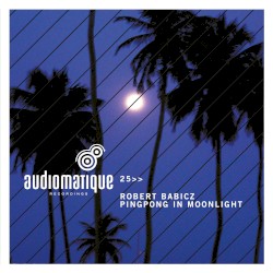 Pingpong In Moonlight