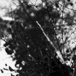 .Письма.ветер.