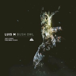 Bush Owl EP