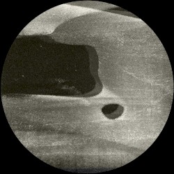 Notions of Causality