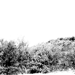 9th (Set)