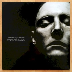 The Ambience of a Dead Star