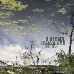 a dream of smoke and birds