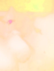 0237