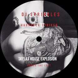 Skylax House Explosion II: Under the Loft