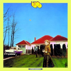 Phenomenon