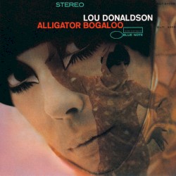 Alligator Bogaloo